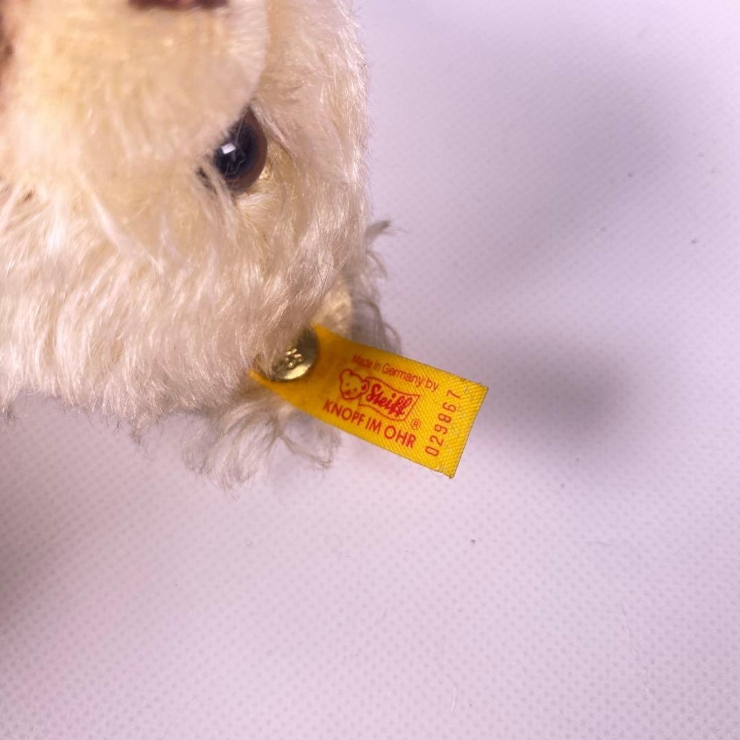 シュタイフ　Zotty ゾッティ　テディベア