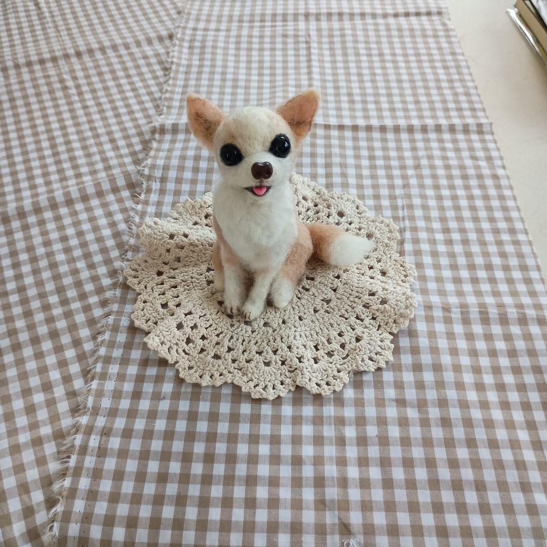 ゆか様　チワワちゃんオーダー