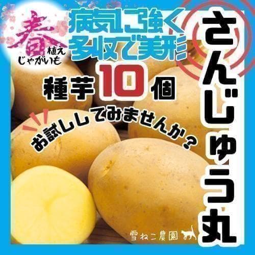 えんじゅ様 リクエスト 5点 まとめ商品