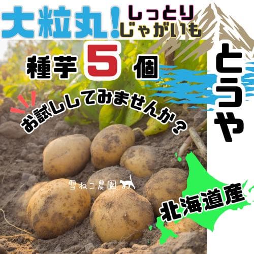 えんじゅ様 リクエスト 5点 まとめ商品