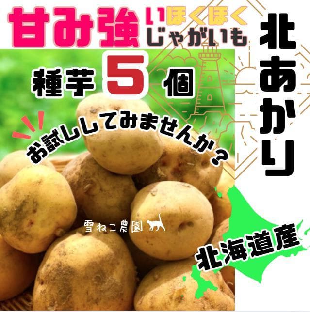 えんじゅ様 リクエスト 5点 まとめ商品