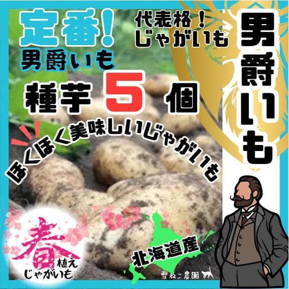 えんじゅ様 リクエスト 5点 まとめ商品