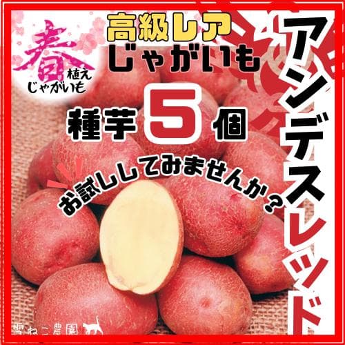 えんじゅ様 リクエスト 5点 まとめ商品