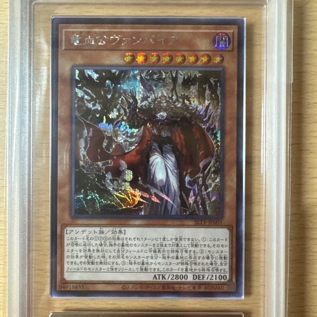 竜血公ヴァンパイア 日本語版　シク　ars10