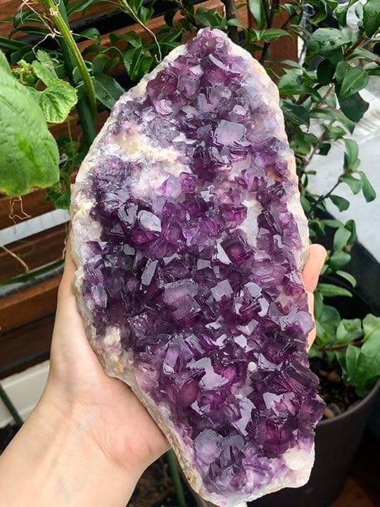 【厳選 稀少 】パープルフローライト クラスター　蛍石 鉱物  標本結晶　原石