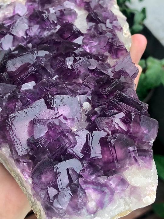 【厳選 稀少 】パープルフローライト クラスター　蛍石 鉱物  標本結晶　原石