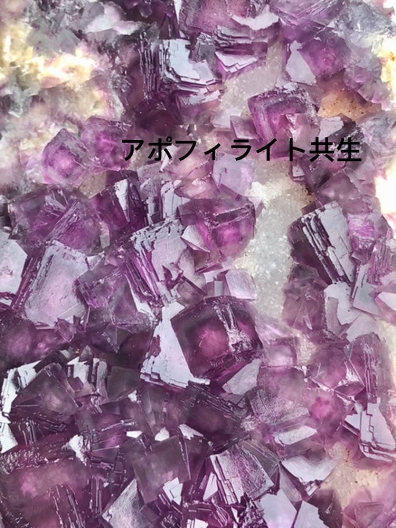 【厳選 稀少 】パープルフローライト クラスター　蛍石 鉱物  標本結晶　原石