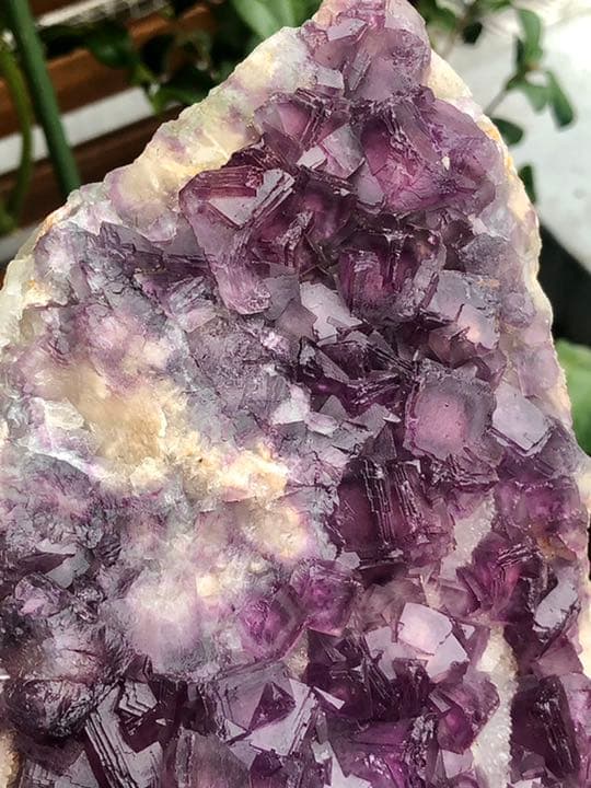 【厳選 稀少 】パープルフローライト クラスター　蛍石 鉱物  標本結晶　原石