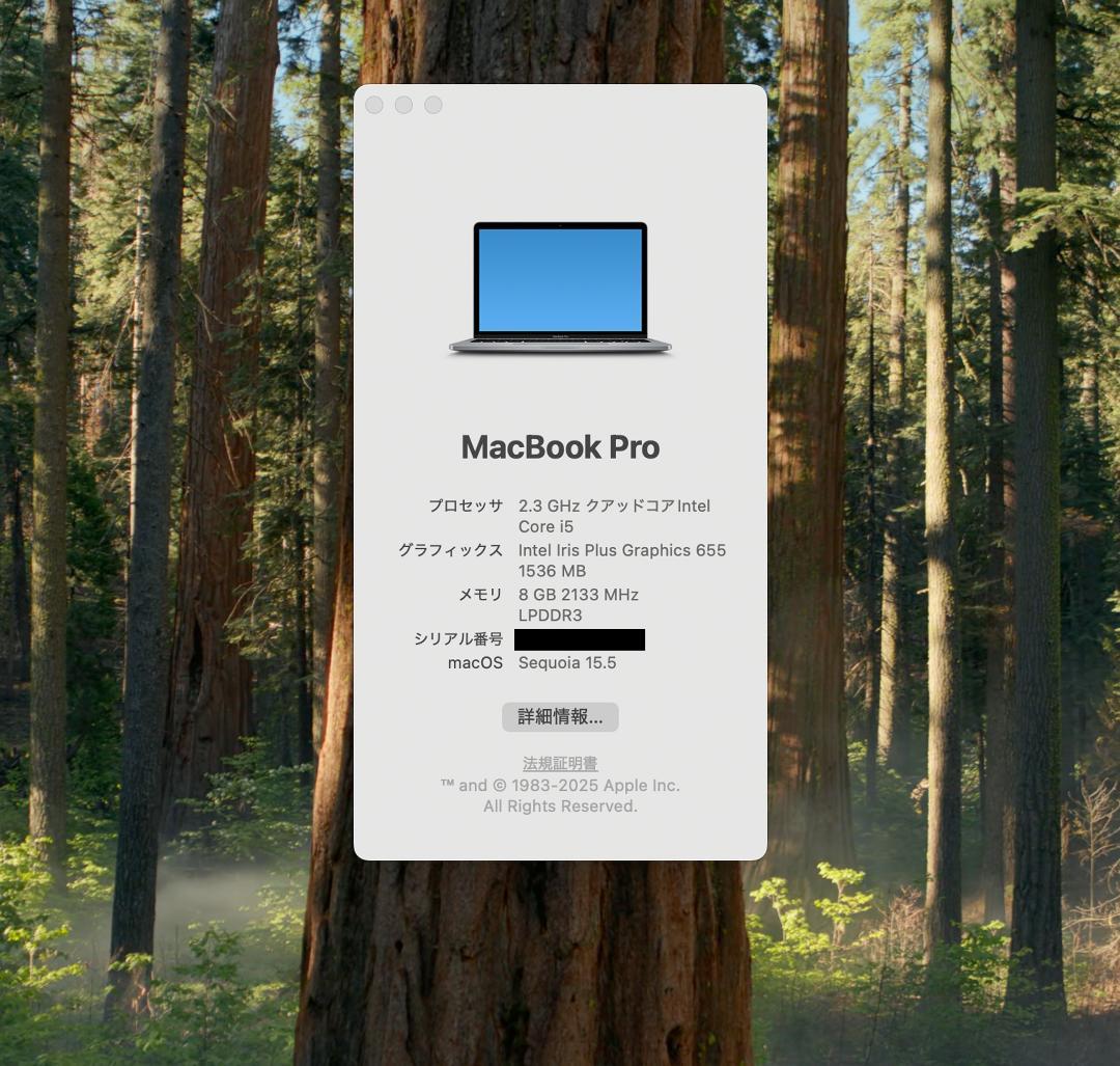 MacBook本体 MacBook Pro 13 2018