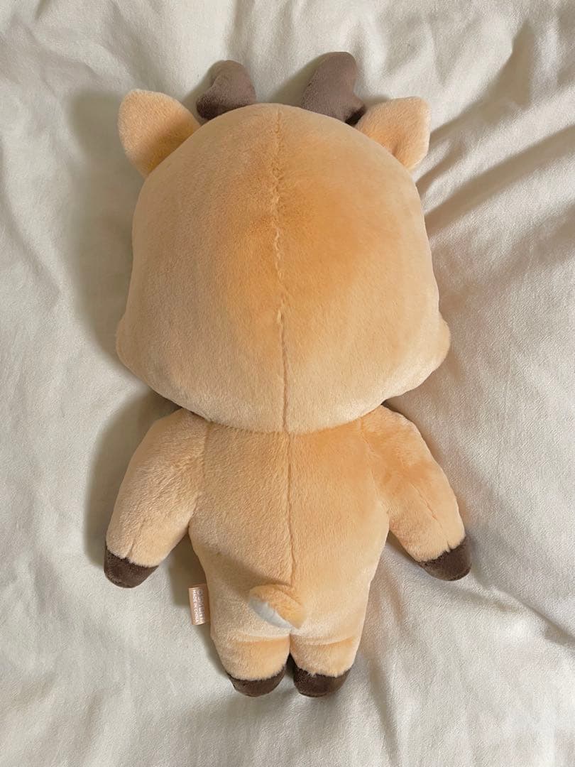 RIIZE 40cm ぬいぐるみ ソンチャン