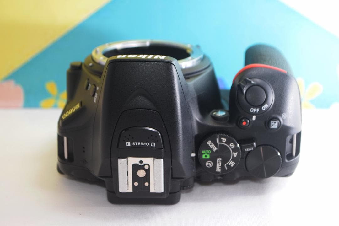 スマホ転送機能付☆Nikon D5600☆シリーズ最新&新型レンズセット