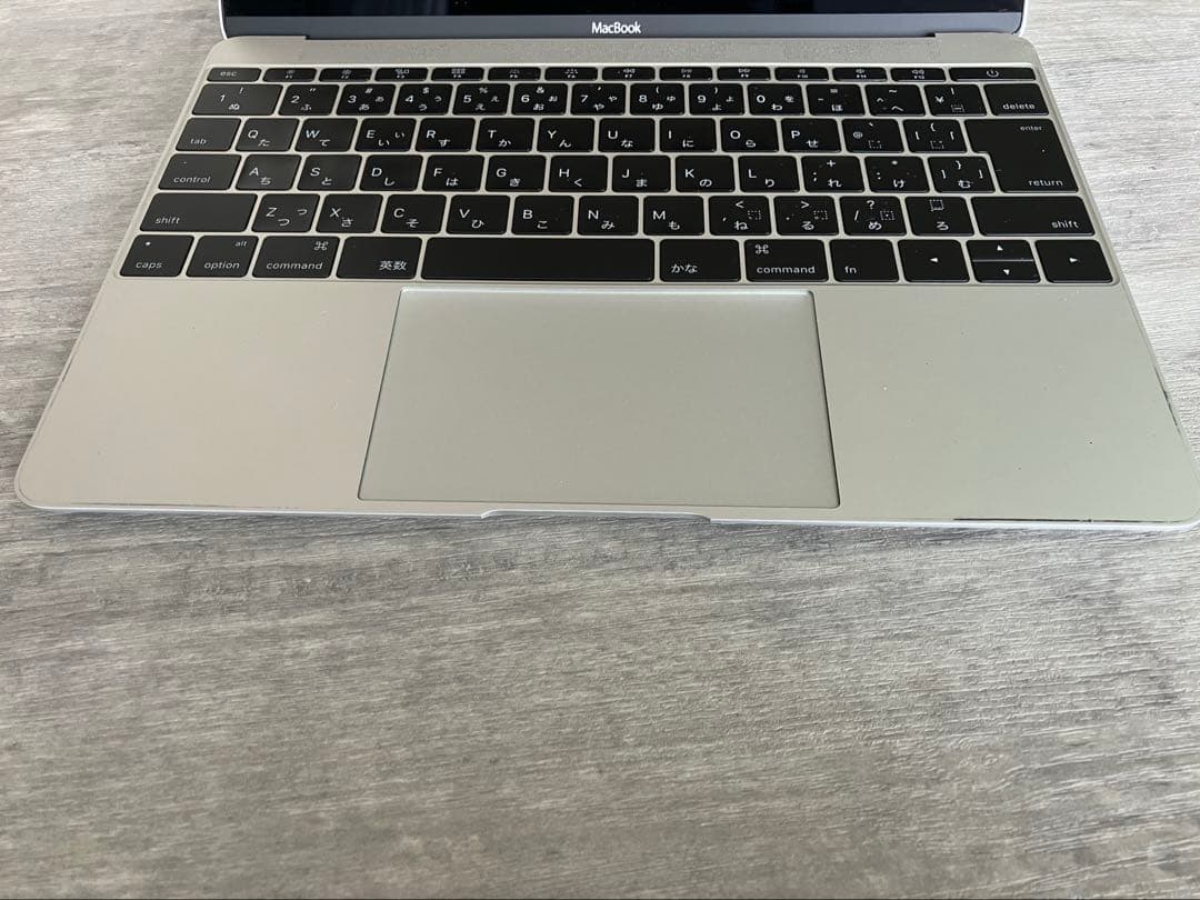 MacBook本体 MacBook (Retina, 12-inch, Early 2015)
