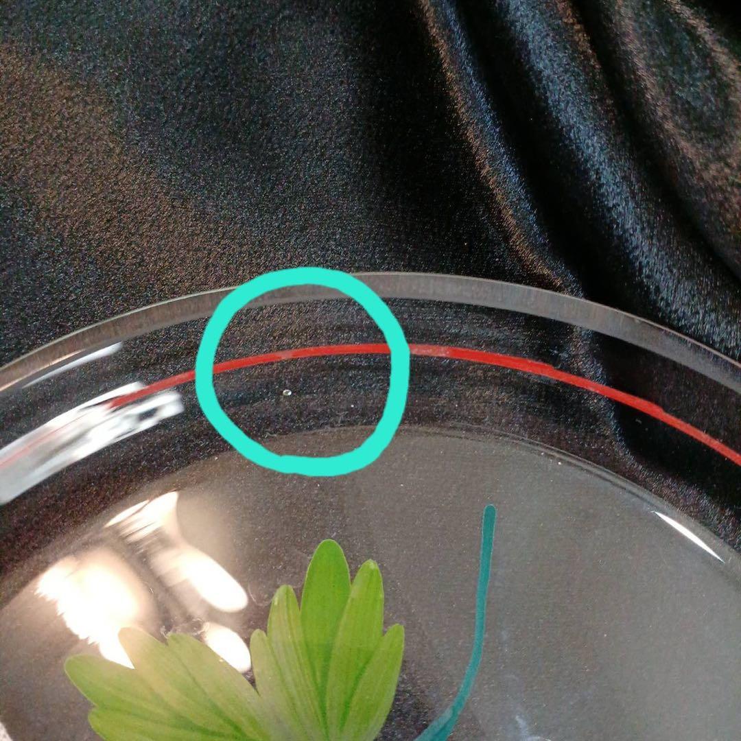 ケーキドーム　ガラス　果物柄　ヴィンテージ　アンティーク