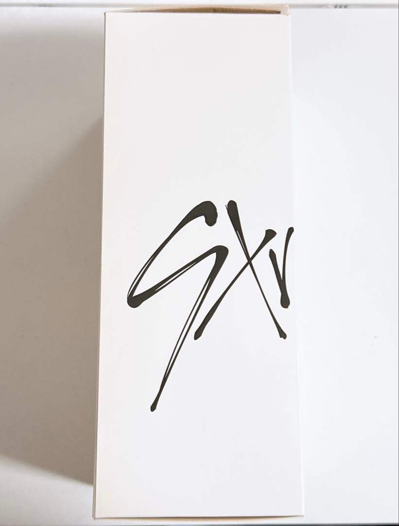 Stray Kids 公式ペンライト ver.1 ver.2 セット