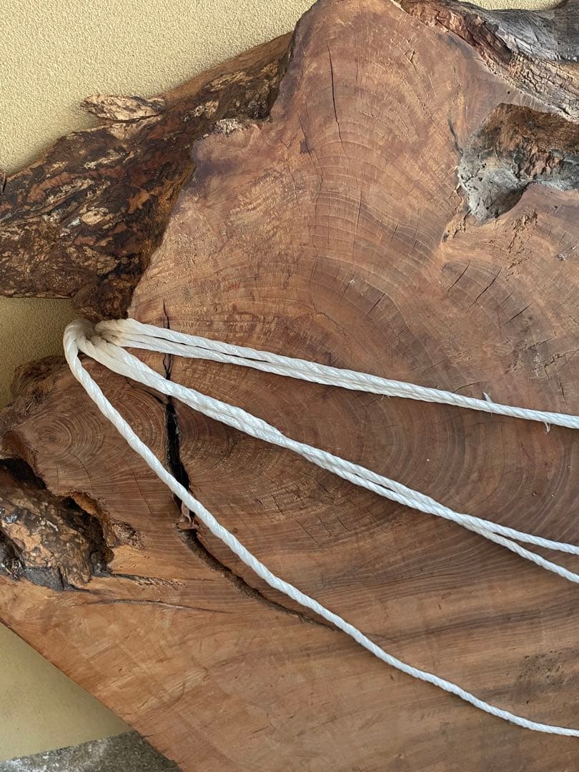 屋久杉　一枚板　貴重　テーブル　世界遺産　屋久島　飾り棚　骨董　古美術　天板