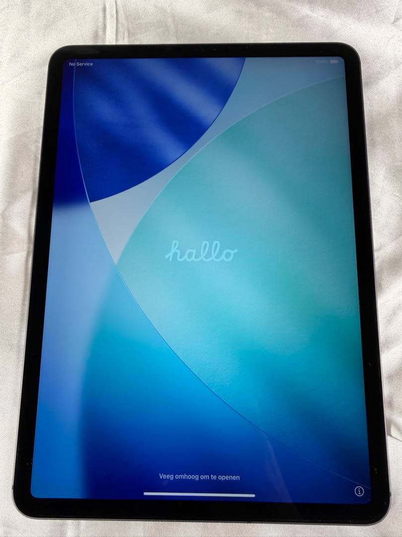 ★美品 iPad Pro 11インチ Wi-Fi Cellular 256GB