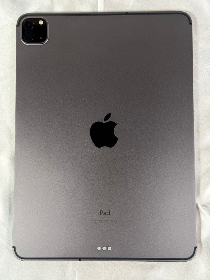 ★美品 iPad Pro 11インチ Wi-Fi Cellular 256GB