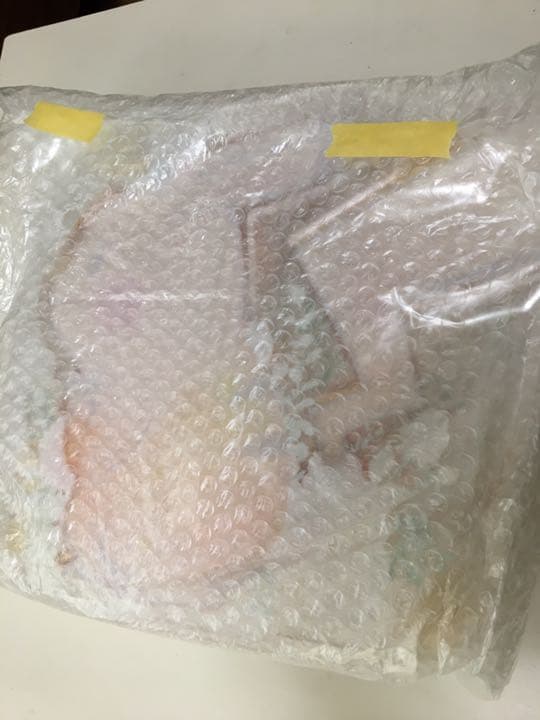 ピカチュウ　ウェルカムボード