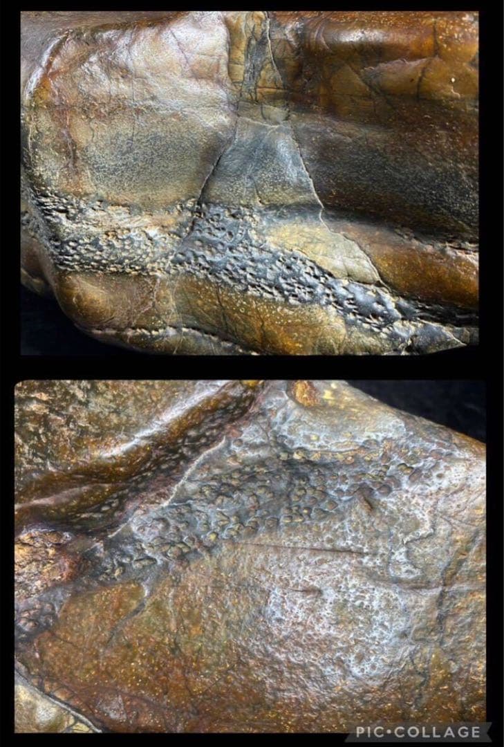 6247 瀬田川飴虎石 ウブ 横38×奥行12(cm) 17.85kg水石 骨董