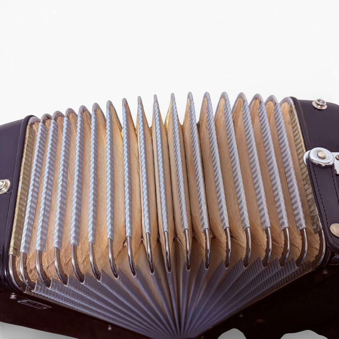 【名機】EXCELSIOR エキセルシャー 400 アコーディオン ソフトケース