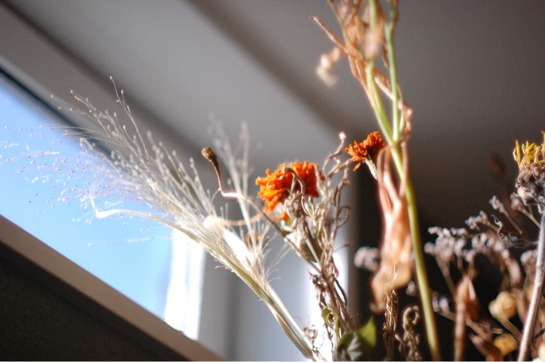 Nikon D40 デジタル一眼レフ 単焦点オールドレンズ　50㍉1:1.4付