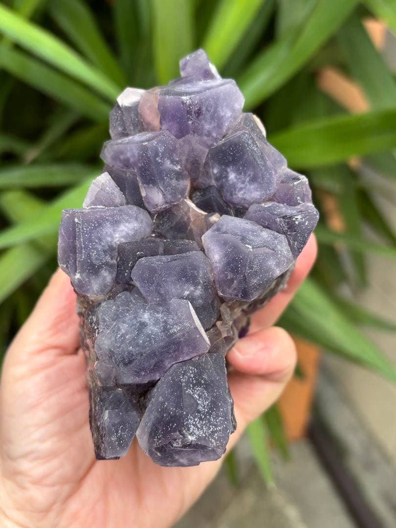 レア原石　ドリームアメジスト　夢幻紫水晶　1078g 夢の守護石　クラスター