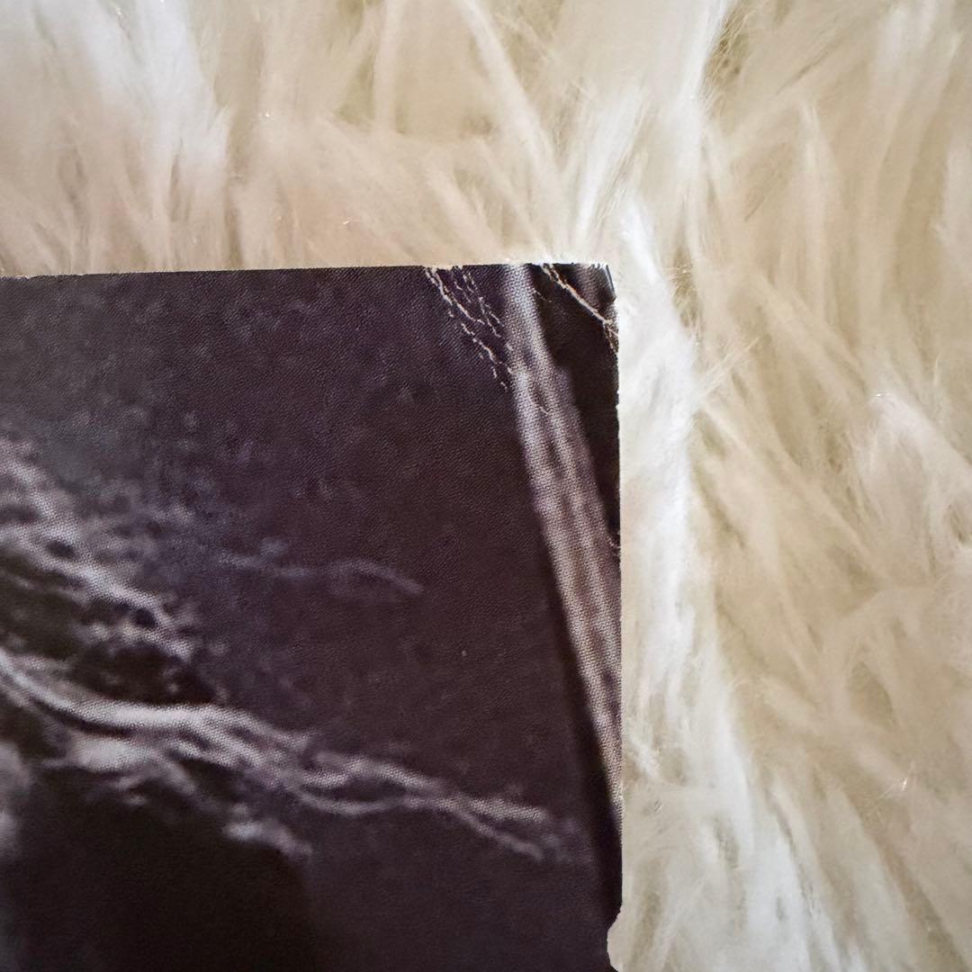 ノーマン・リーダス 複製 超特大 写真 ポートレート ダリル・ディクソン