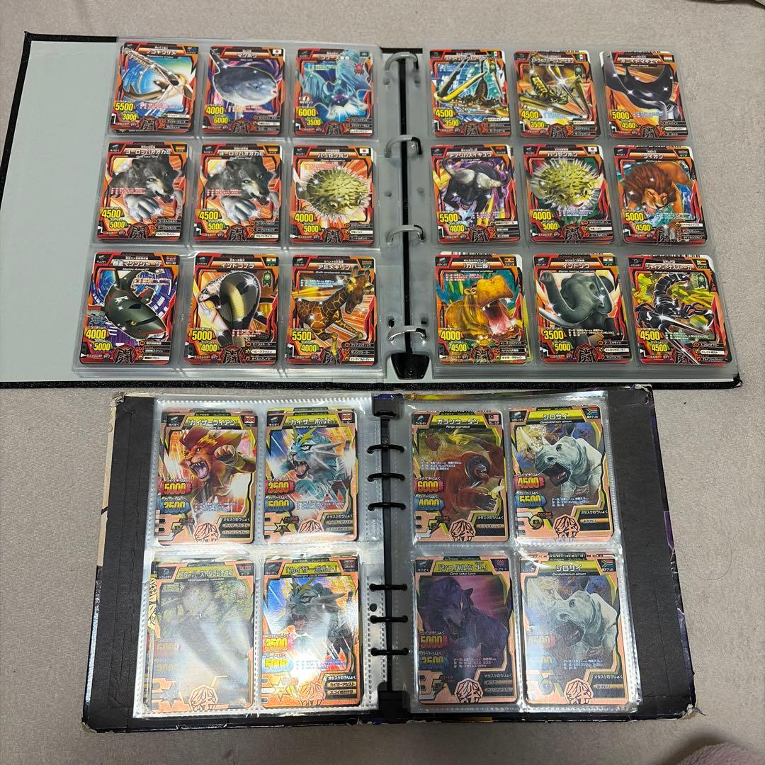 アニマルカイザー　ノーマル　確認用