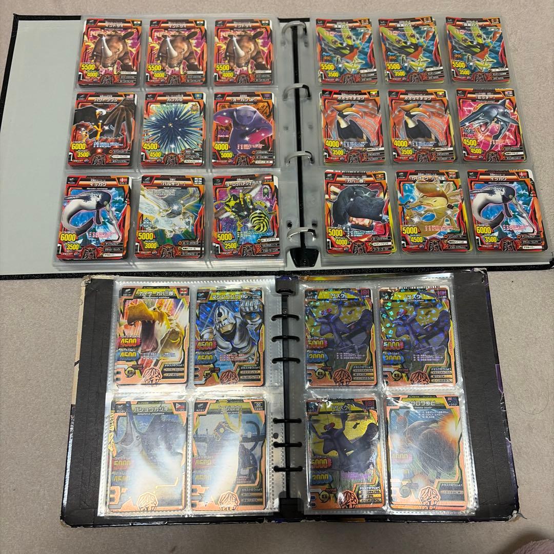 アニマルカイザー　ノーマル　確認用