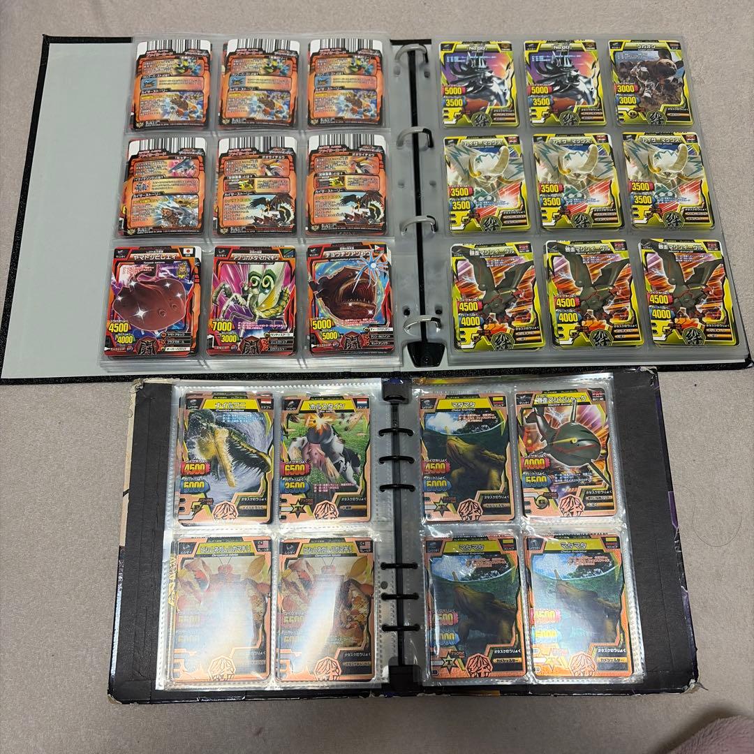 アニマルカイザー　ノーマル　確認用