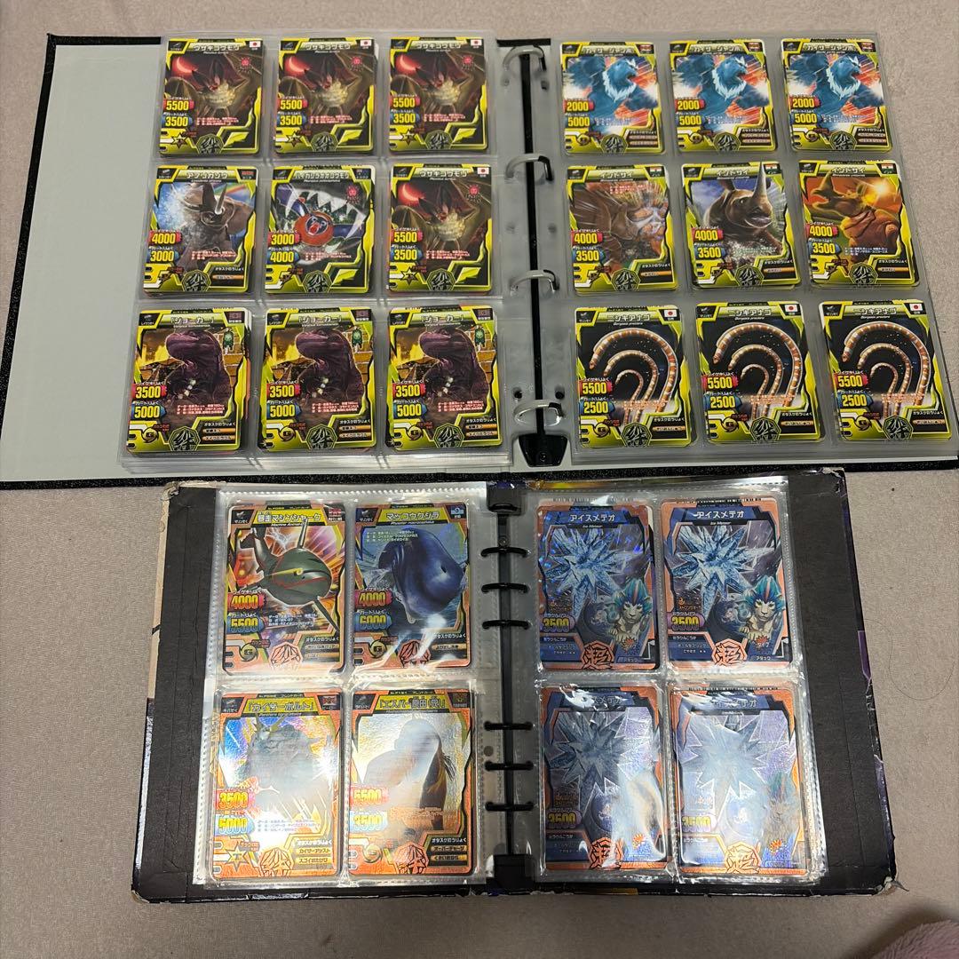 アニマルカイザー　ノーマル　確認用