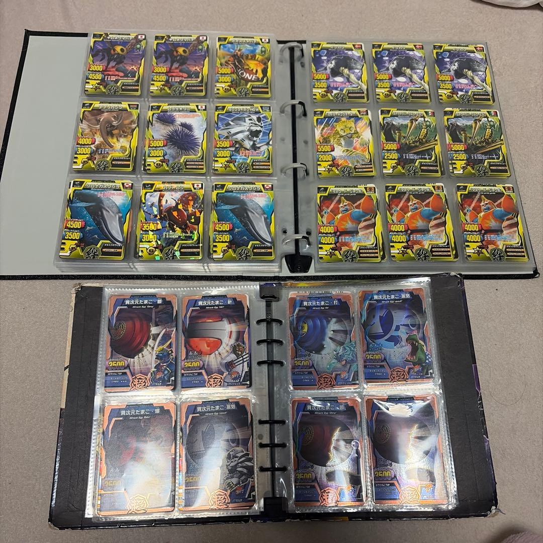 アニマルカイザー　ノーマル　確認用