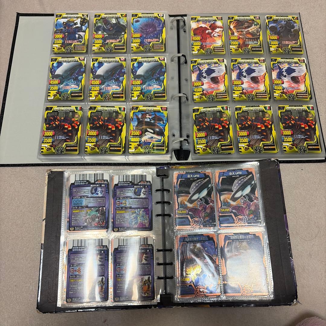 アニマルカイザー　ノーマル　確認用