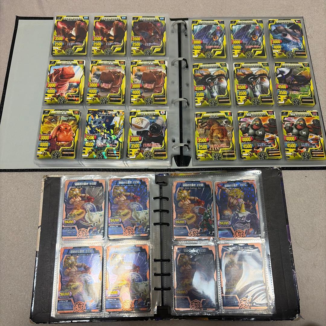 アニマルカイザー　ノーマル　確認用