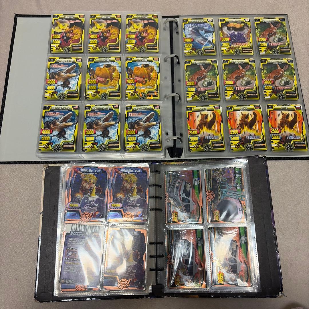 アニマルカイザー　ノーマル　確認用