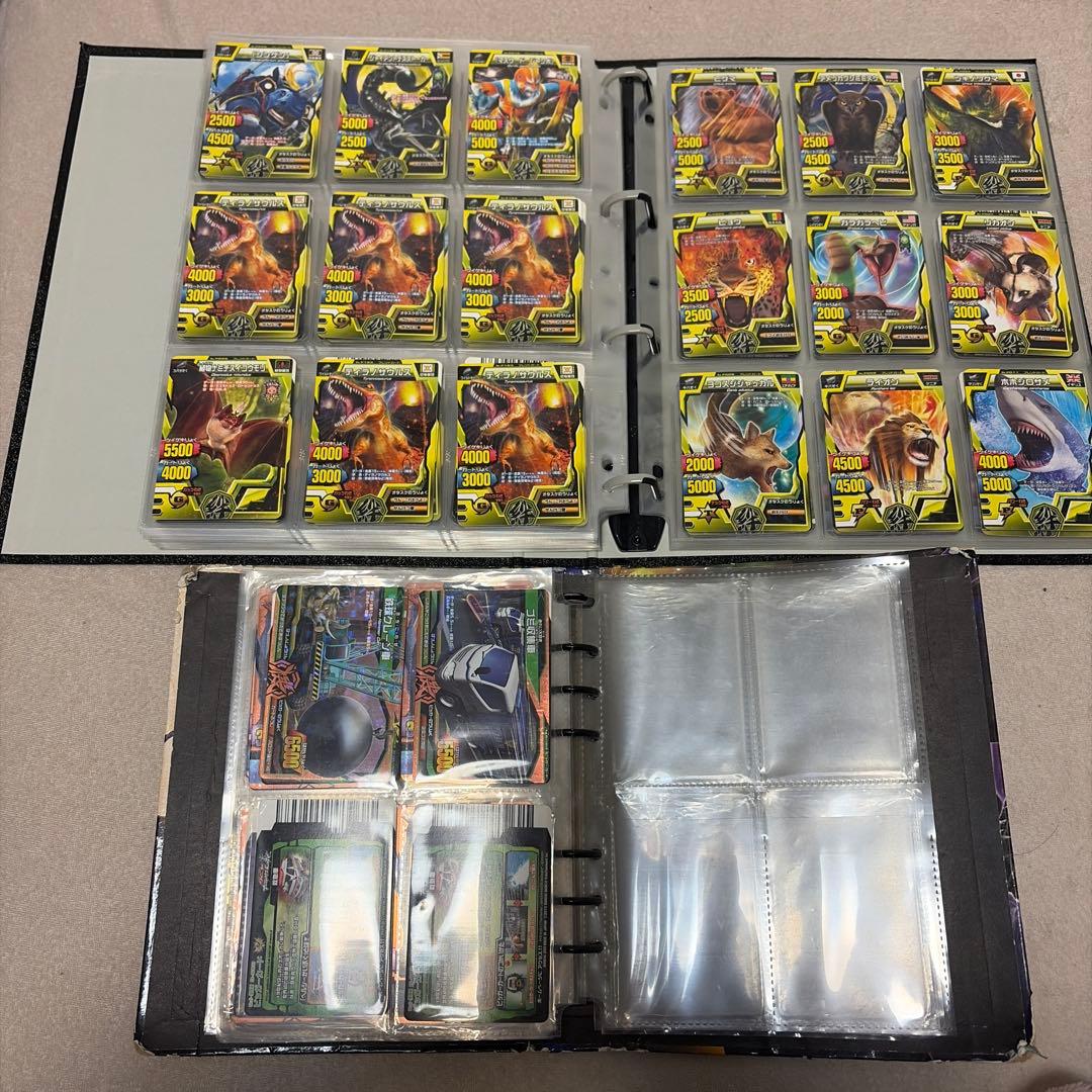 アニマルカイザー　ノーマル　確認用