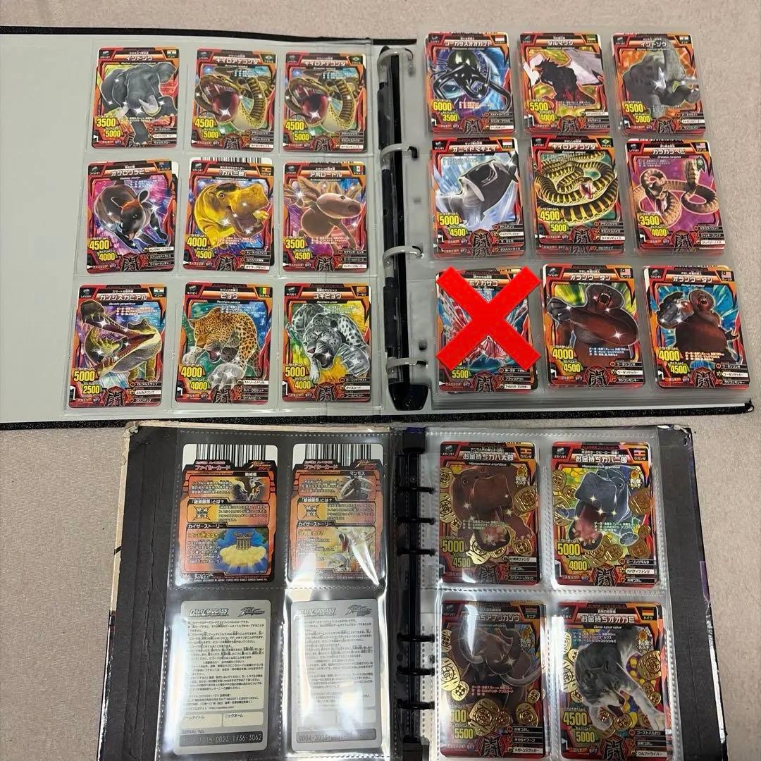 アニマルカイザー　ノーマル　確認用