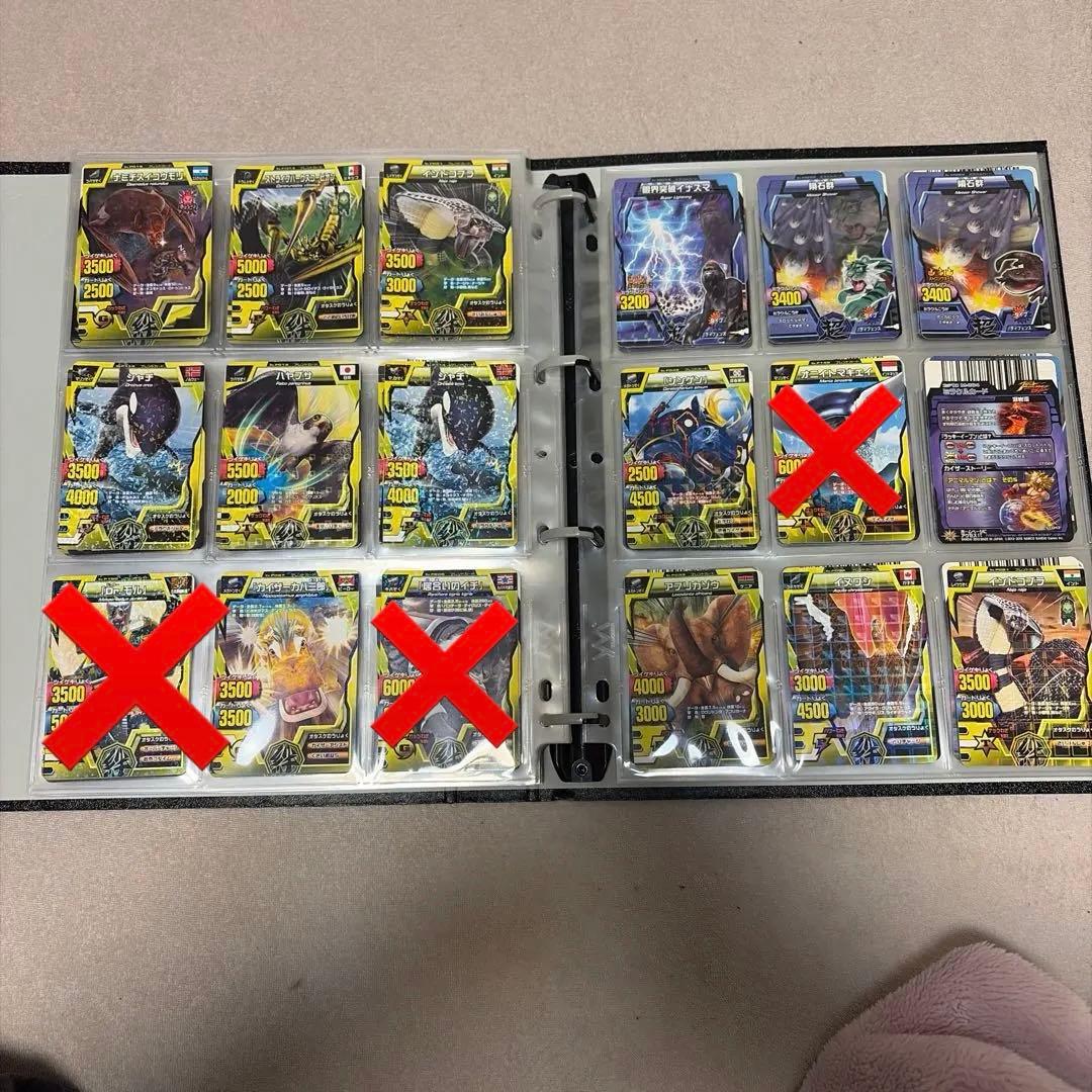 アニマルカイザー　ノーマル　確認用