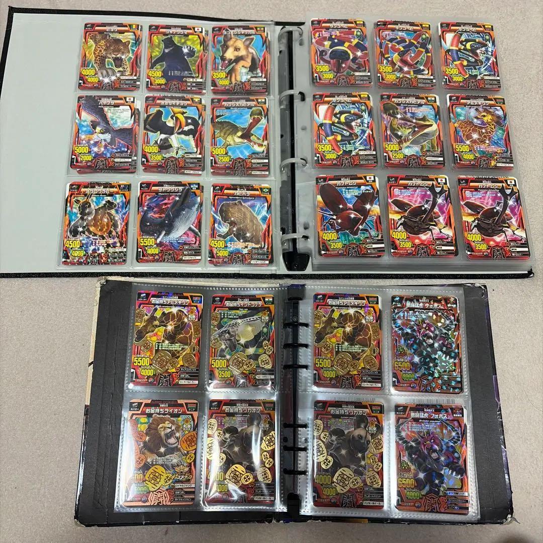 アニマルカイザー　ノーマル　確認用