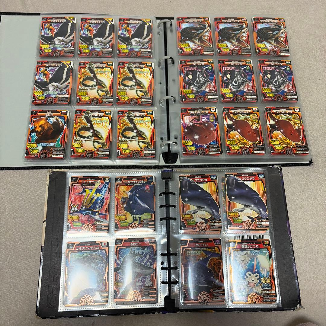 アニマルカイザー　ノーマル　確認用