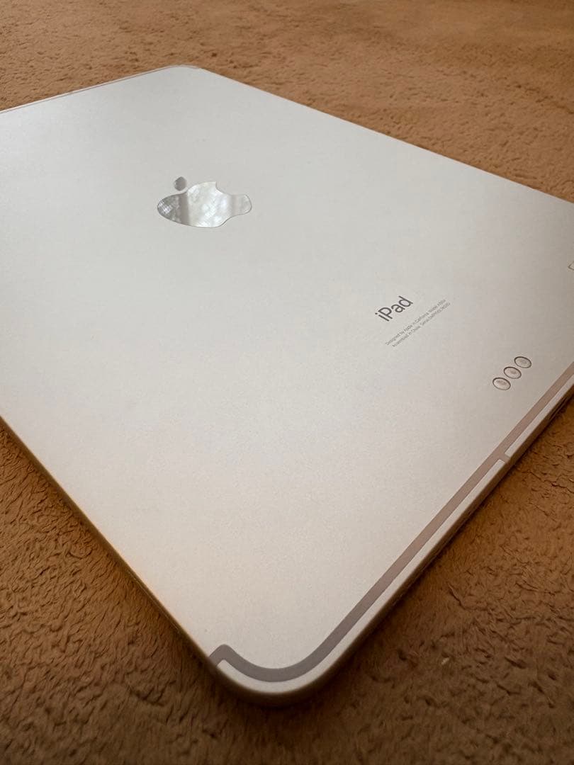 R*r様 iPad Pro (11インチ) 256GB Wi-Fi + Cell