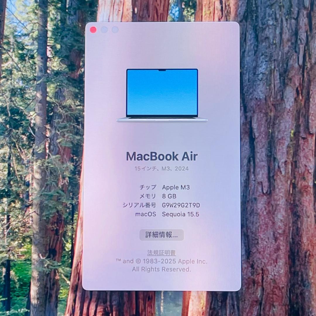 A5115超美品 MacBook Air 15inch M3 8GB 512GB