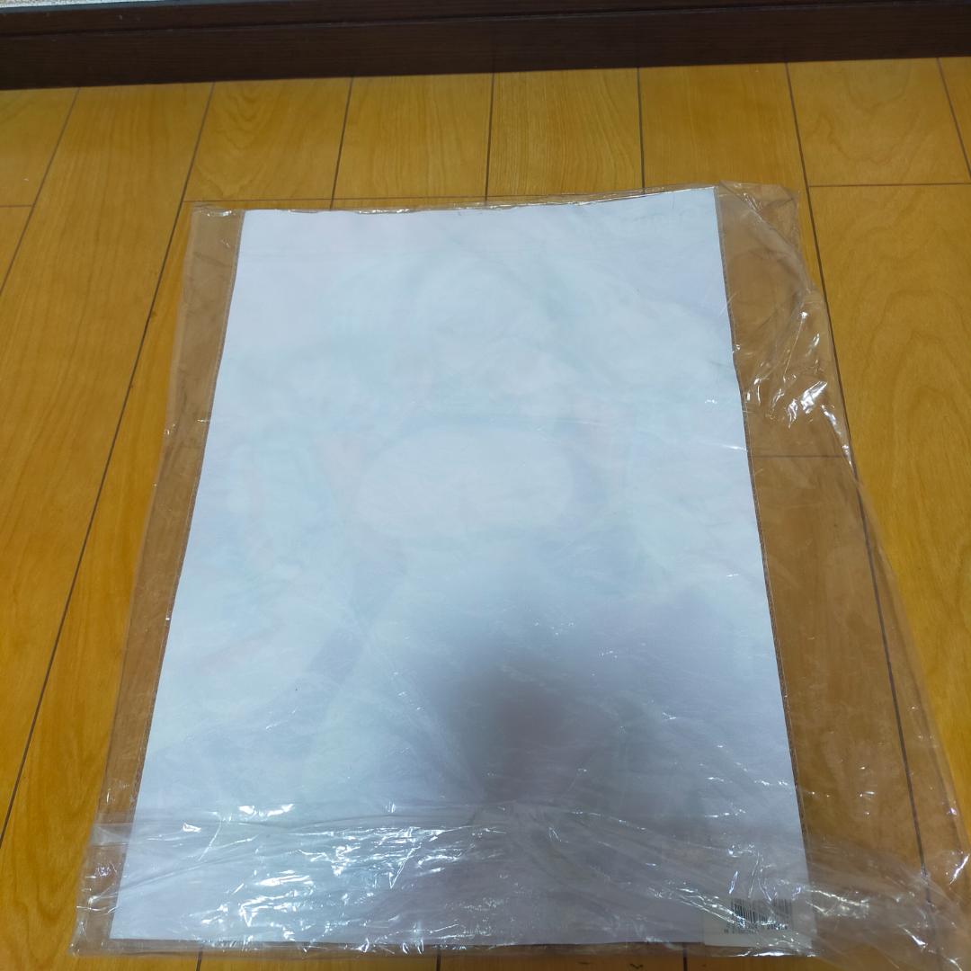 内箱未開封 Erotics Gear-Girl ルージュ オリジナル布ポスター付