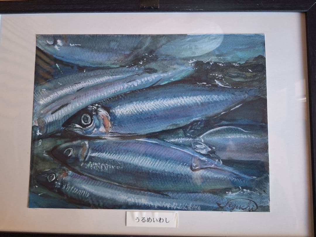 うるめイワシ水彩画 f4サイズ