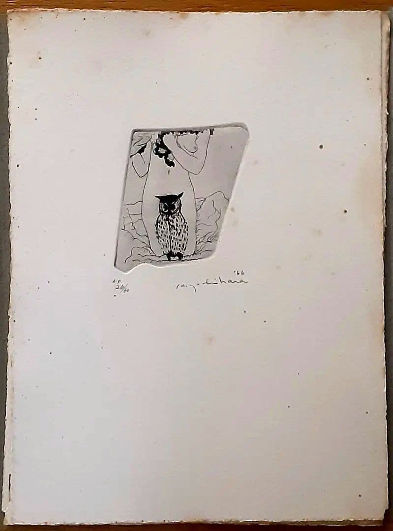 銅版画11枚入り『吉原英雄銅版画作品集 　鳥と女　1966-1974』1974