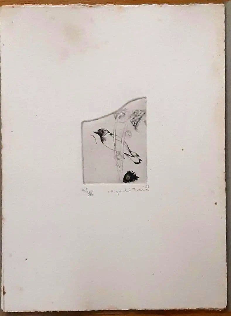 銅版画11枚入り『吉原英雄銅版画作品集 　鳥と女　1966-1974』1974