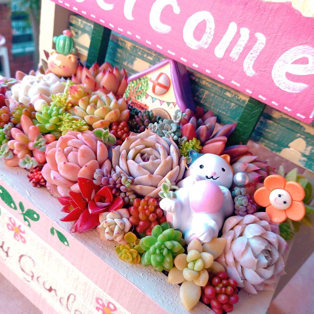 ❤️多肉植物❤️そのまま飾れる寄せ植え❤️仲良し三毛猫ちゃん~❤️