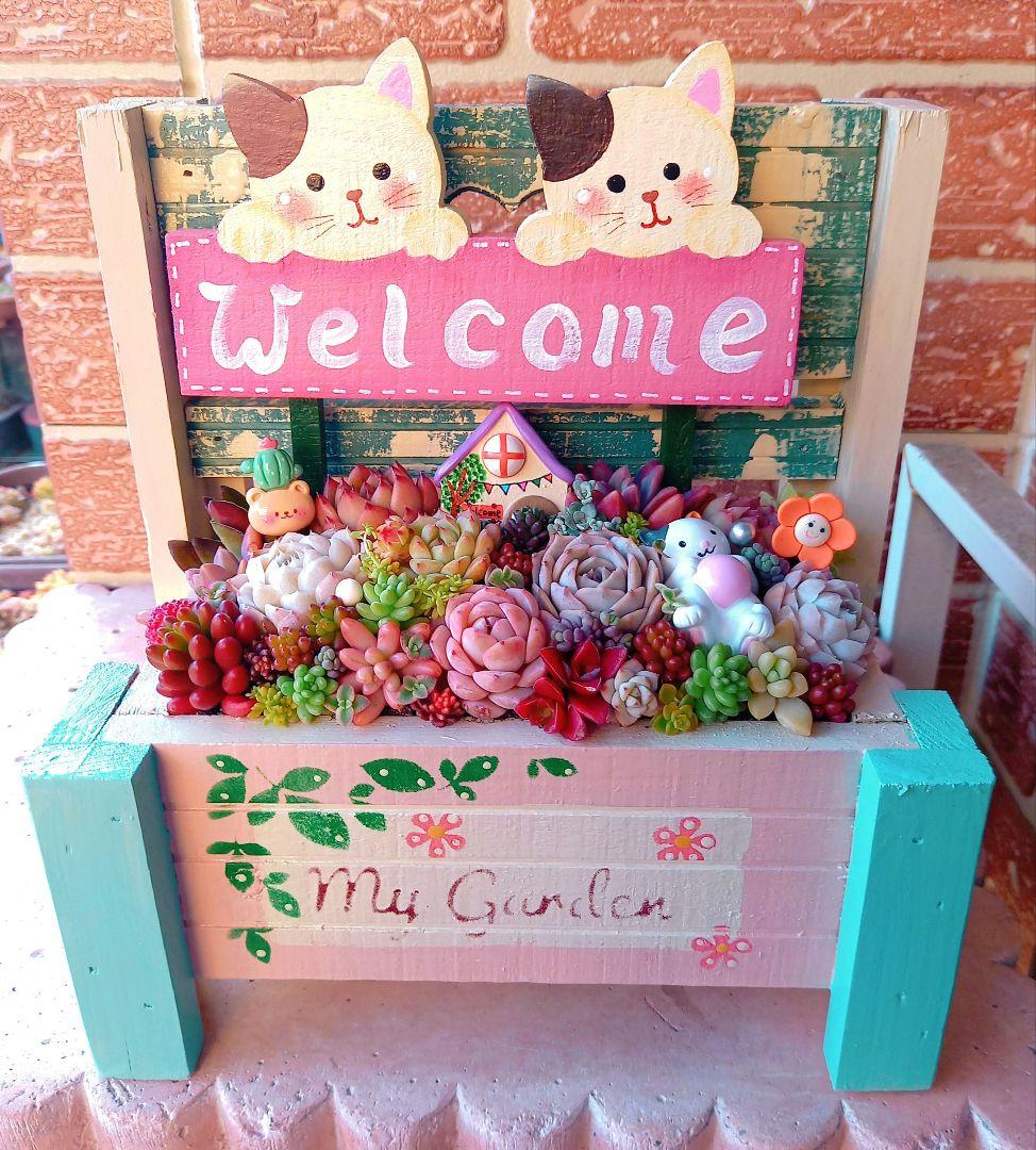 ❤️多肉植物❤️そのまま飾れる寄せ植え❤️仲良し三毛猫ちゃん~❤️