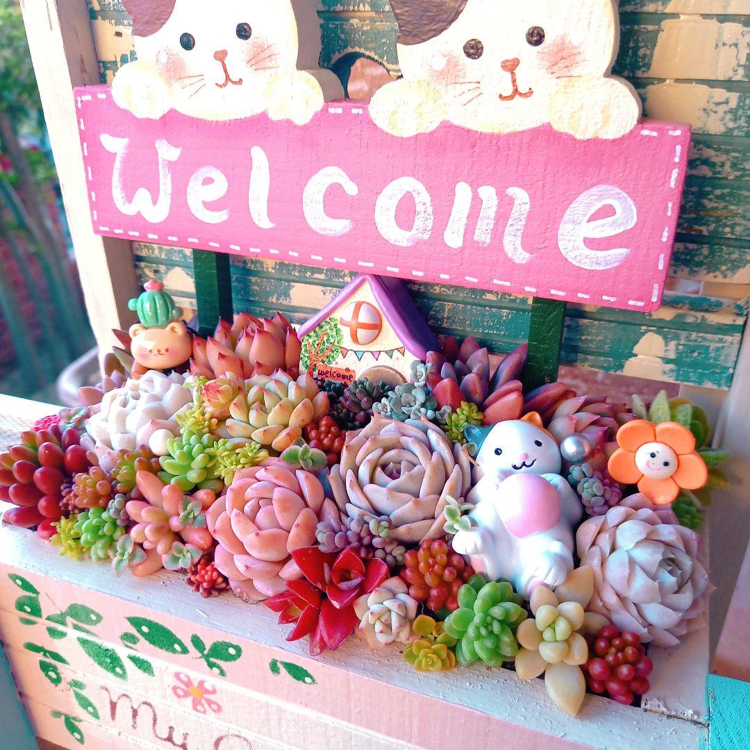 ❤️多肉植物❤️そのまま飾れる寄せ植え❤️仲良し三毛猫ちゃん~❤️