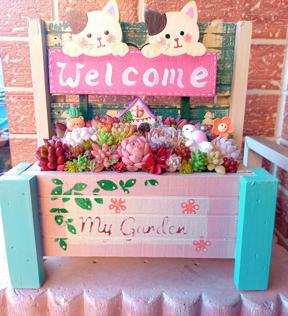 ❤️多肉植物❤️そのまま飾れる寄せ植え❤️仲良し三毛猫ちゃん~❤️